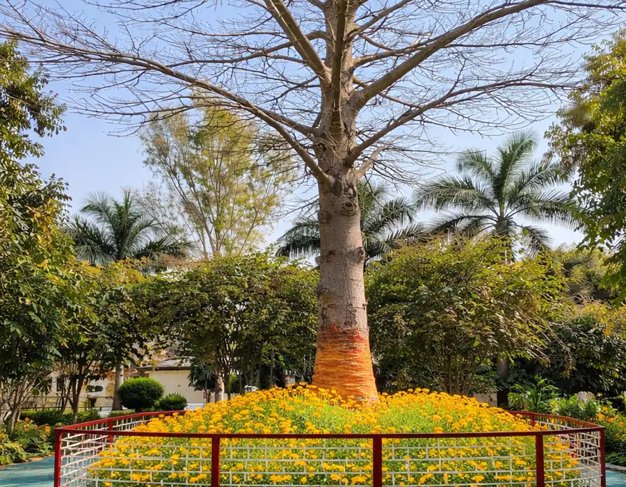 Kalpvriksha Vatika