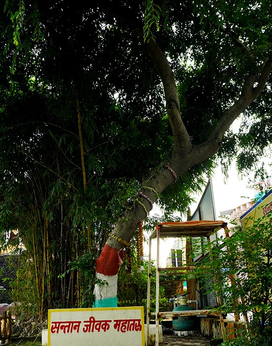 Santaan Jeevak Mahatru