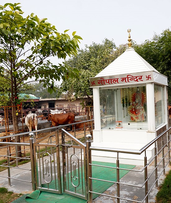 Gaushala